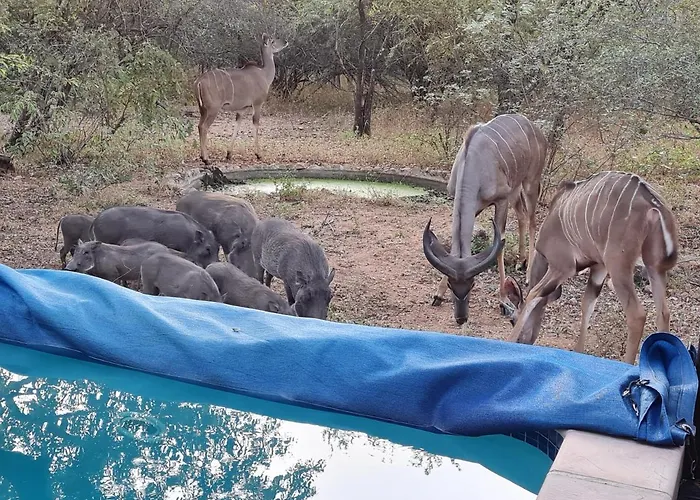 Call Of The Fish Eagle Self-Catering Holiday Home With Solar