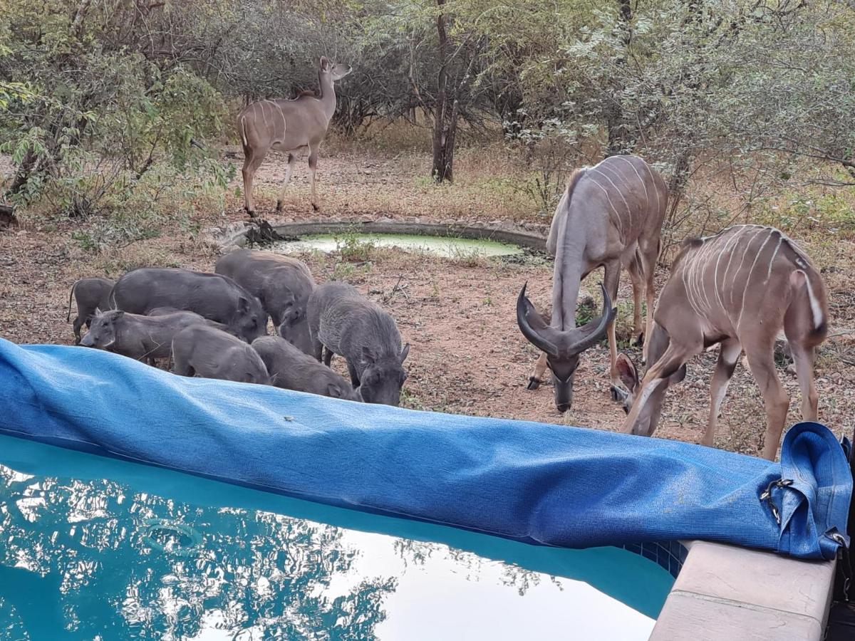 Call Of The Fish Eagle Self-catering With Solar Marloth Park